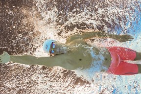 九游下载电脑版官网-特色乡村骑马摘果比赛，运动与传统农事结合，骑马采茶手法是什么