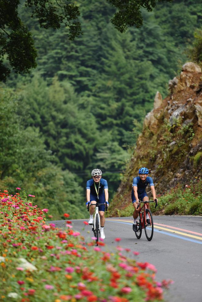 九游官网下载电脑版-关于特色山地越野自行车赛，穿越林海峡谷的速度盛宴的信息