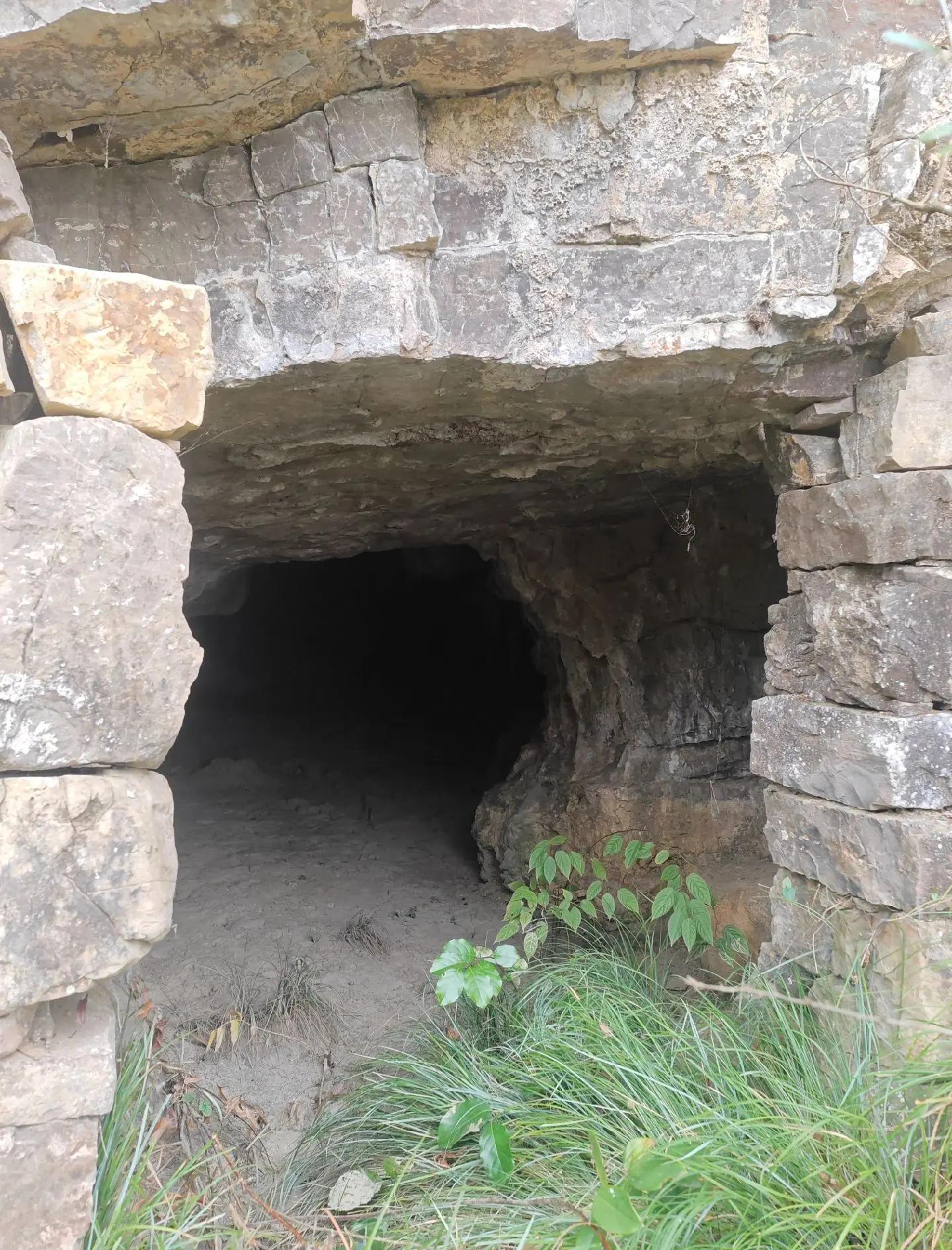 九游网页版官网入口-包含城市极限洞穴探秘，黑暗中挑战自我极限的词条