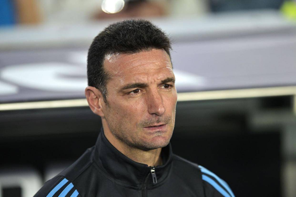 关于意甲新签约球员表现亮眼,球队实力大增的信息 关于意甲新签约球员表现亮眼,球队实力大增的信息