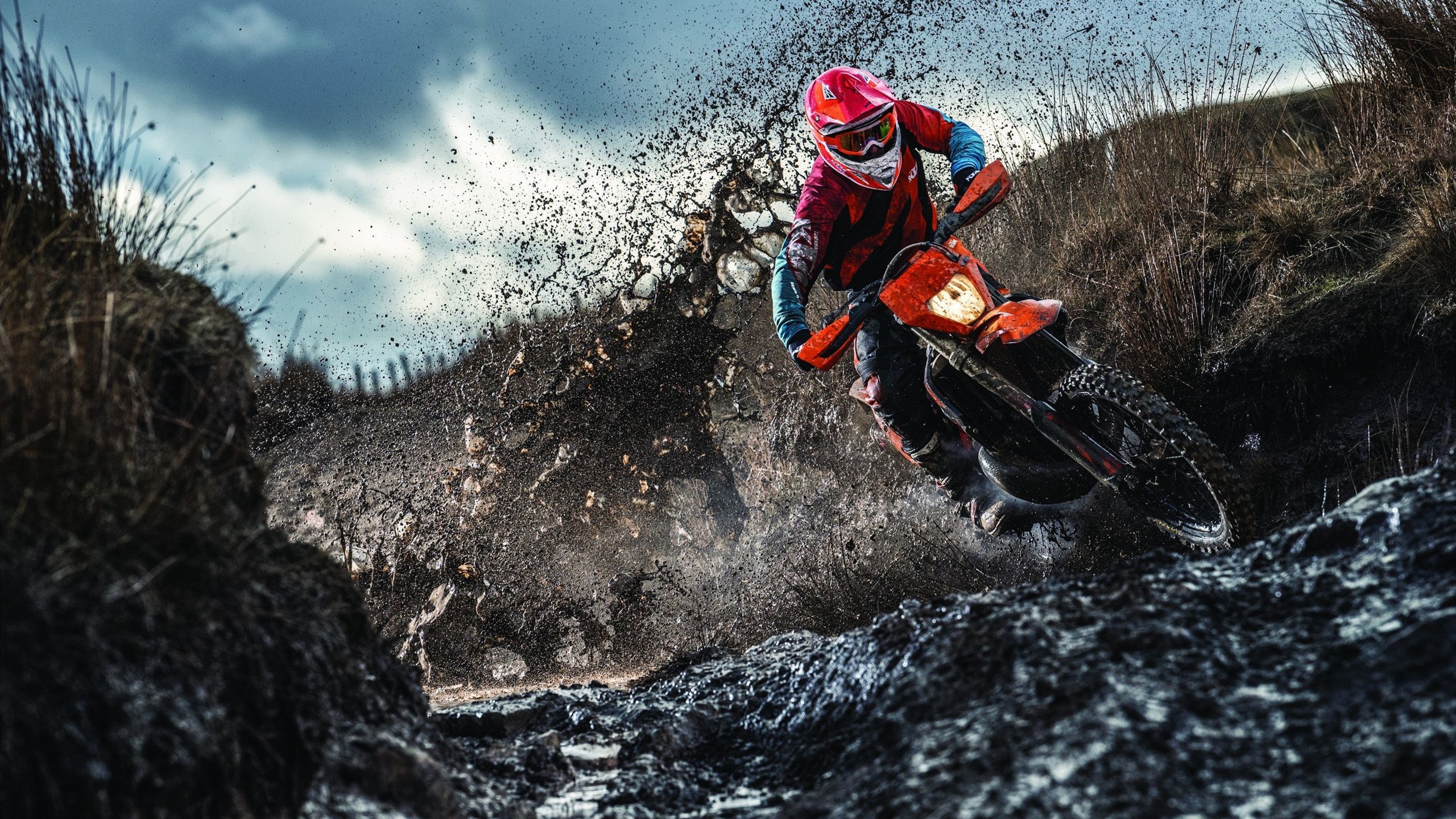 奥地利国家队士气高涨，力争前进，奥地利国家队名单