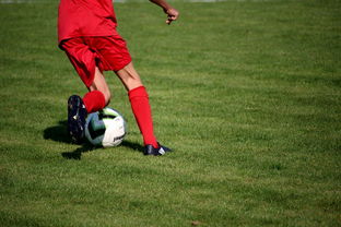 九游登录中心-意甲裁判语义分析系统在比赛判罚中的应用研究，意甲第三轮裁判