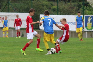 Jiu You-塞尔维亚实力不断提升，期待在国际大赛中突破