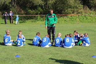 JIUYOU GAMING-欧洲杯冠军悬念：战术配合与个人能力巅峰对决，欧洲杯冠军大热门